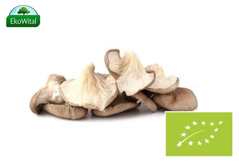 Grzyb BOCZNIAK BIO 200 g