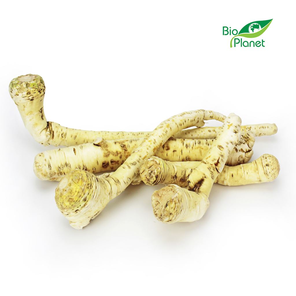 OPAKOWANIE ZBIORCZE (kg) - CHRZAN ŚWIEŻY BIO (POLSKA) (około 3 kg)