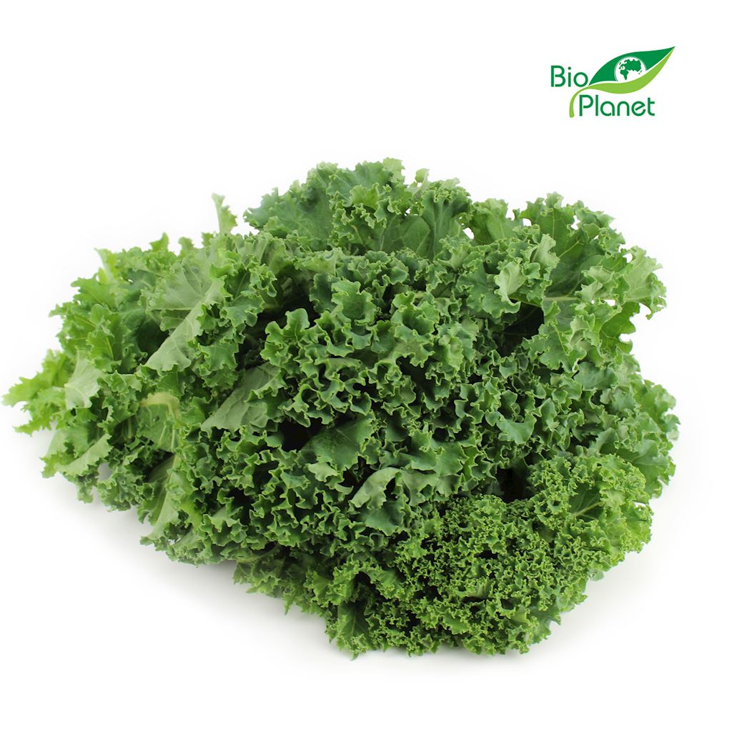 OPAKOWANIE ZBIORCZE (kg) - JARMUŻ ŚWIEŻY BIO (około 5 kg)