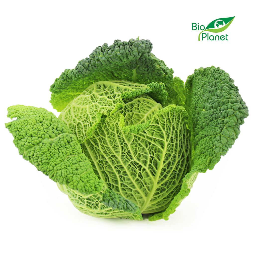 OPAKOWANIE ZBIORCZE (szt) - KAPUSTA WŁOSKA ŚWIEŻA BIO (10 sztuk)