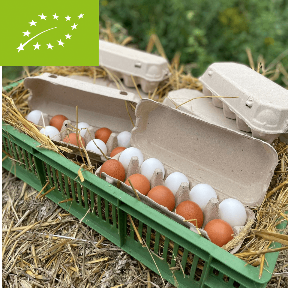 Jajka ekologiczne 90 sztuk