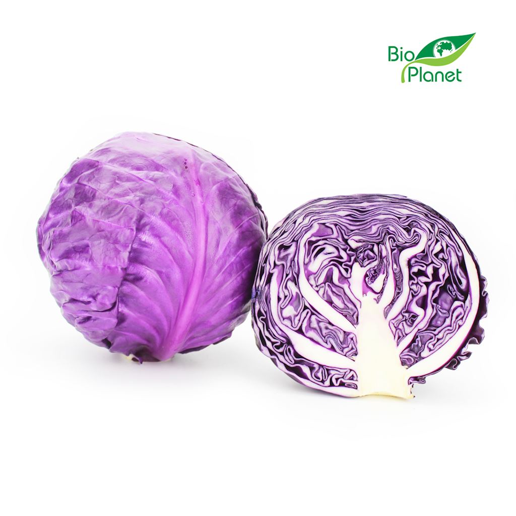 KAPUSTA CZERWONA MŁODA ŚWIEŻA BIO (około 1,20 kg)