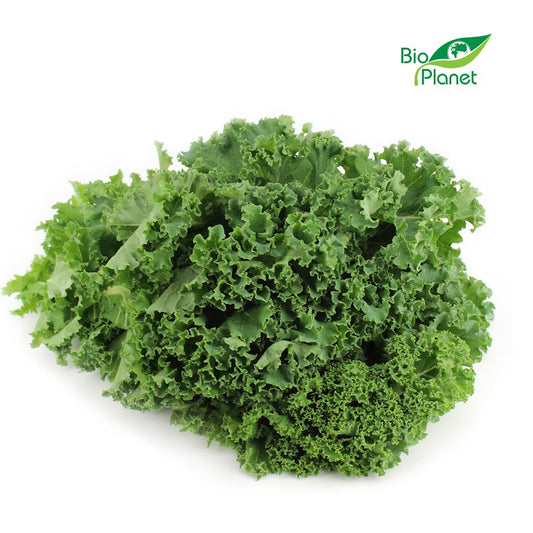 OPAKOWANIE ZBIORCZE (kg) - JARMUŻ ŚWIEŻY BIO (około 5 kg)